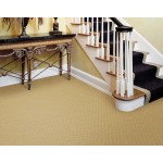 Carpet & Hard Floor Care